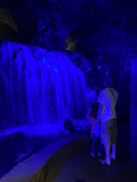 地底王国「美川ムーバレー」に投稿された画像（2022/8/2）