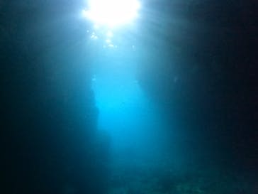 沖縄マリンサービス碧に投稿された画像（2022/8/2）