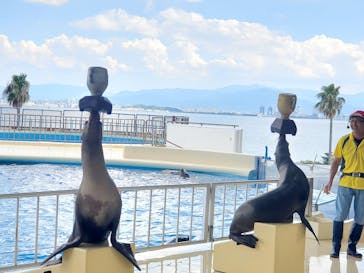 マリンワールド海の中道に投稿された画像（2022/8/2）