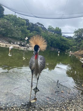 ネオパークオキナワに投稿された画像（2022/8/2）