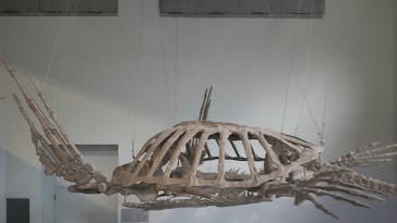 名古屋港水族館に投稿された画像（2022/7/31）