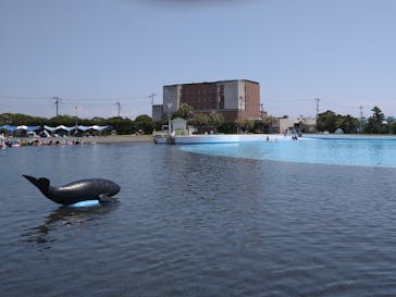 蓮沼ウォーターガーデンに投稿された画像（2022/8/2）