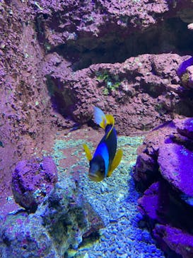 サンシャイン水族館に投稿された画像（2022/8/2）