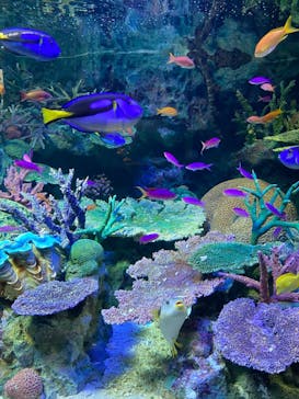 サンシャイン水族館に投稿された画像（2022/8/2）