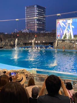 名古屋港水族館に投稿された画像（2022/8/2）