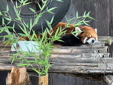 那須ワールドモンキーパークに投稿された画像（2022/8/2）