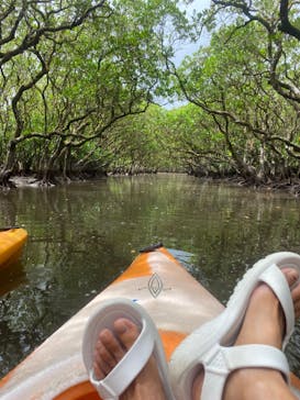 マングローブ茶屋に投稿された画像（2022/8/2）