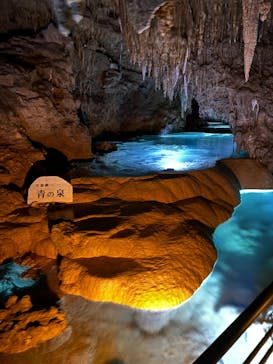 おきなわワールドに投稿された画像（2022/8/2）