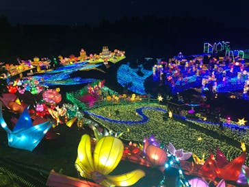 伊豆ぐらんぱる公園に投稿された画像（2022/8/3）