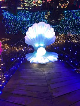 伊豆ぐらんぱる公園に投稿された画像（2022/8/3）