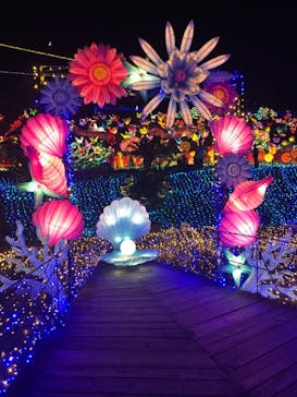 伊豆ぐらんぱる公園に投稿された画像（2022/8/3）