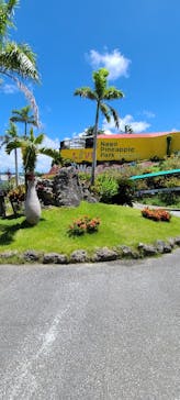 ナゴパイナップルパークに投稿された画像（2022/8/3）