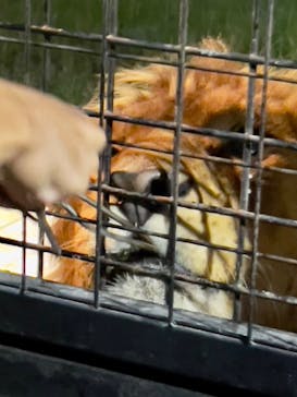 那須サファリパークに投稿された画像（2022/8/3）