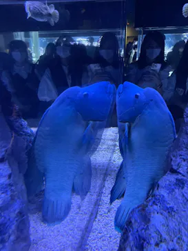 すみだ水族館に投稿された画像（2022/8/3）