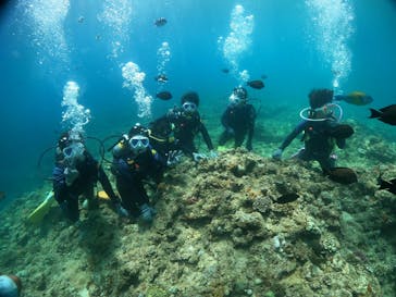 沖縄マリンサービス碧に投稿された画像（2022/8/3）