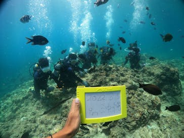 沖縄マリンサービス碧に投稿された画像（2022/8/3）