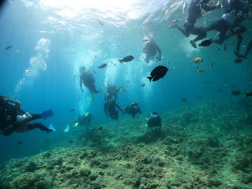 沖縄マリンサービス碧に投稿された画像（2022/8/3）