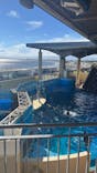新江ノ島水族館に投稿された画像（2022/8/3）