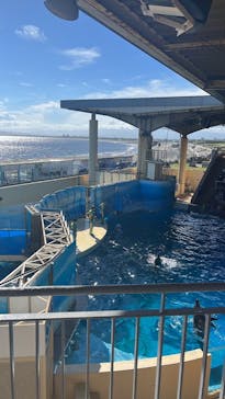 新江ノ島水族館に投稿された画像（2022/8/3）