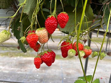 スカイスパYOKOHAMAに投稿された画像（2022/8/3）