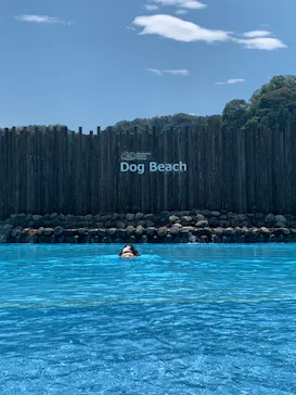 わんダフルネイチャーヴィレッジに投稿された画像（2022/8/3）