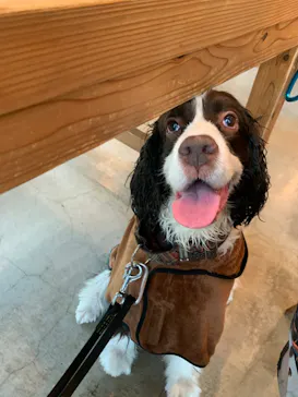 わんダフルネイチャーヴィレッジに投稿された画像（2022/8/3）