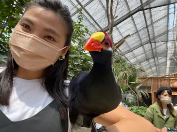 神戸どうぶつ王国に投稿された画像（2022/8/3）