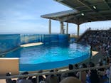 新江ノ島水族館に投稿された画像（2022/8/3）
