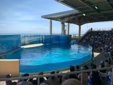 新江ノ島水族館に投稿された画像（2022/8/3）