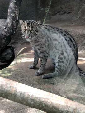 神戸どうぶつ王国に投稿された画像（2022/8/3）