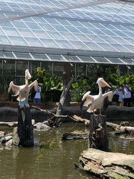 神戸どうぶつ王国に投稿された画像（2022/8/3）