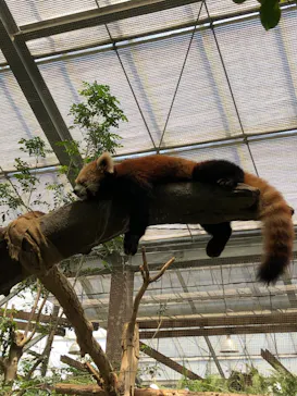 神戸どうぶつ王国に投稿された画像（2022/8/3）