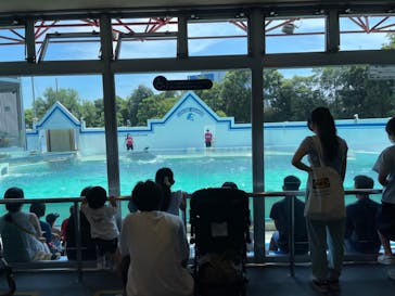 しながわ水族館に投稿された画像（2022/8/3）