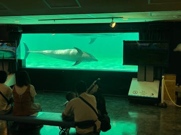 しながわ水族館に投稿された画像（2022/8/3）