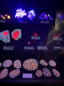 特別展「宝石　地球がうみだすキセキ」（名古屋市科学館　理工館地下２階イベントホール）に投稿された画像（2022/8/3）