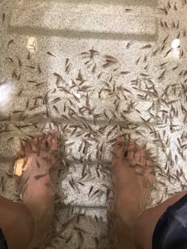 有馬温泉 太閤の湯に投稿された画像（2022/8/3）