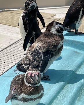 株式会社Gに投稿された画像（2022/8/3）