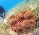 アクアドロップに投稿された画像（2022/8/3）