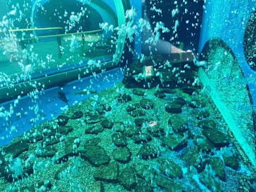 滋賀県立琵琶湖博物館に投稿された画像（2022/8/3）