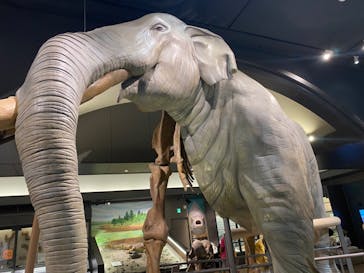 滋賀県立琵琶湖博物館に投稿された画像（2022/8/3）