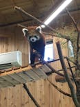 伊豆シャボテン動物公園に投稿された画像（2022/8/3）