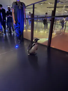 すみだ水族館に投稿された画像（2022/8/3）