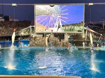 名古屋港水族館に投稿された画像（2022/8/3）