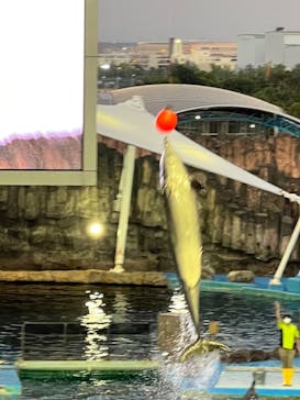 名古屋港水族館に投稿された画像（2022/8/3）