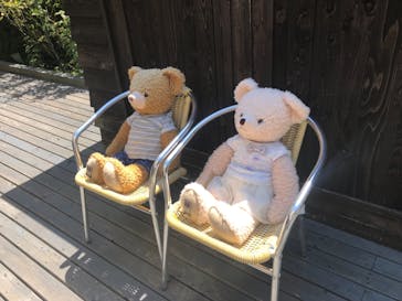 伊豆テディベア・ミュージアムに投稿された画像（2022/8/3）