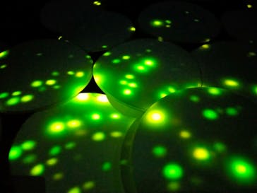 森ビル デジタルアート ミュージアム：エプソン チームラボボーダレスに投稿された画像（2022/8/3）