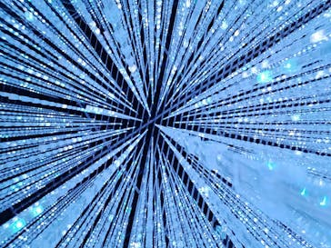 森ビル デジタルアート ミュージアム：エプソン チームラボボーダレスに投稿された画像（2022/8/3）