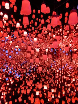 森ビル デジタルアート ミュージアム：エプソン チームラボボーダレスに投稿された画像（2022/8/3）