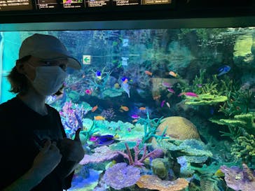 サンシャイン水族館に投稿された画像（2022/8/3）