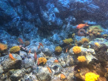 株式会社Gに投稿された画像（2022/8/3）